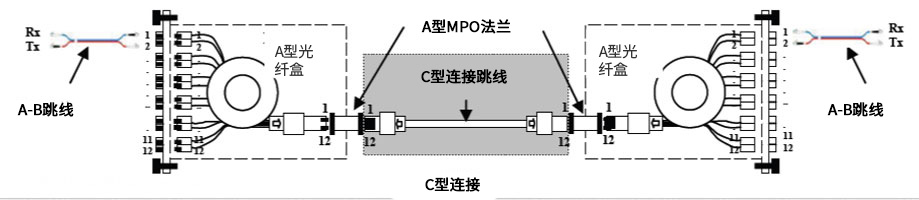 MPO極性管理C類(lèi)