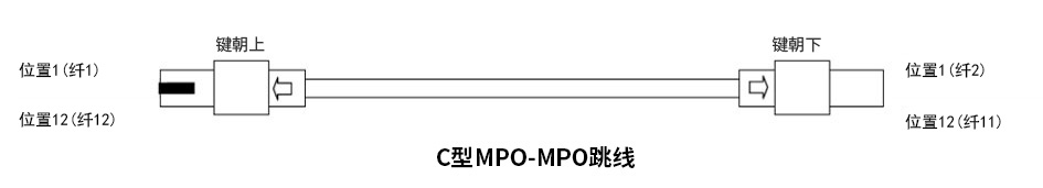 MPO交叉極性