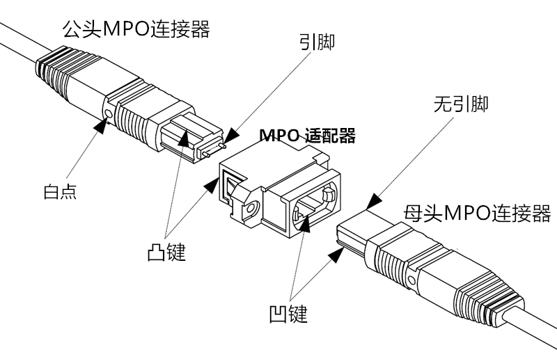 MPO連接器示意圖