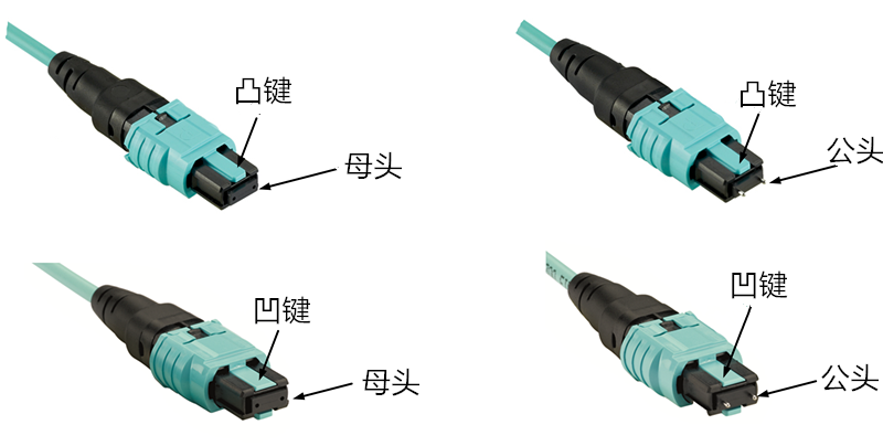 MPO連接器