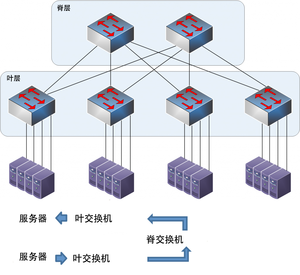 葉脊拓撲網(wǎng)絡(luò)結(jié)構(gòu)