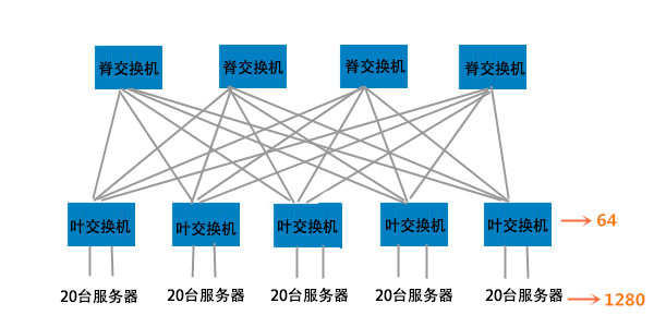 葉脊拓撲網(wǎng)絡(luò)