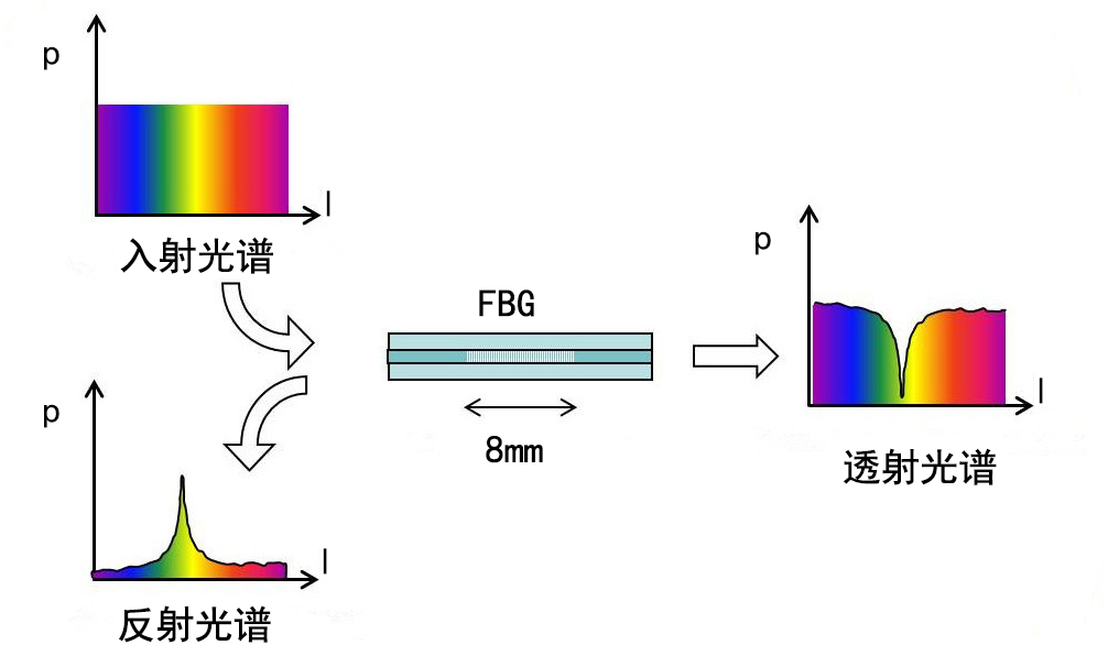 光纖布拉格光柵