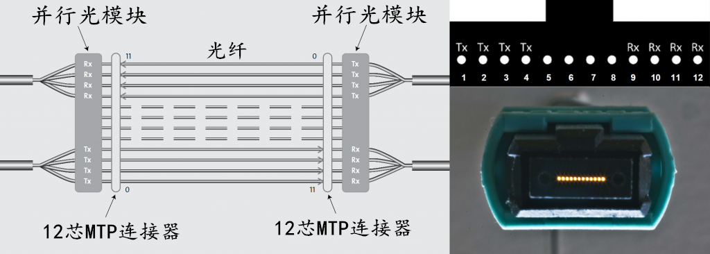 并行光模塊連接