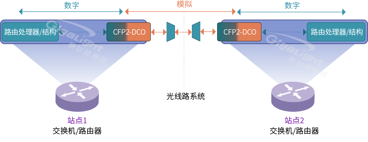 圖3：路由器或交換機(jī)內(nèi)的DCO DWDM傳輸